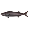 escolar