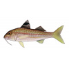 salmonete