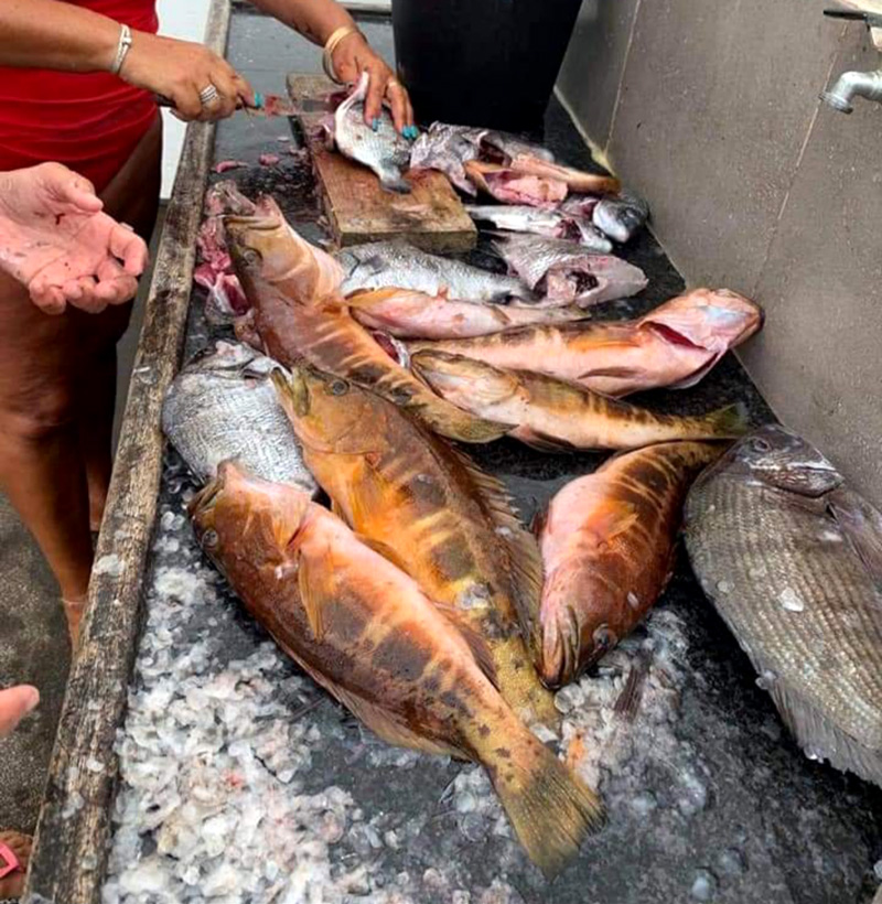 Caldo de Peixe à moda do Pico